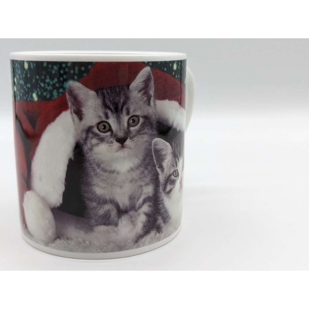 Kittens Christmas Santa Hat Photo Mug Bone China Rose of England Cat Lovers